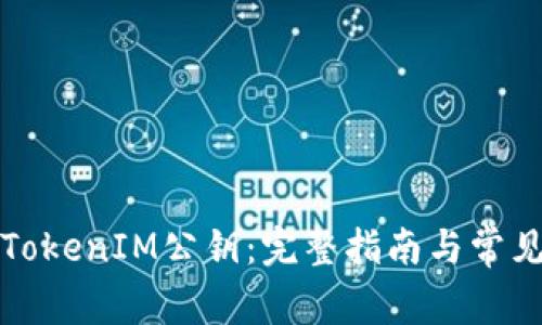 如何查询TokenIM公钥：完整指南与常见问题解答