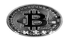 如何查询TokenIM公钥：完整