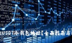 如何查询USDT冷钱包地址？
