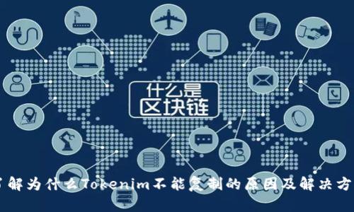 了解为什么Tokenim不能复制的原因及解决方案