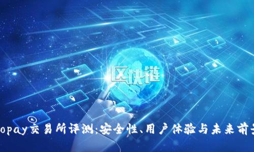 Topay交易所评测：安全性、用户体验与未来前景