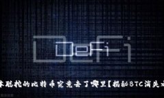 中本聪挖的比特币究竟去
