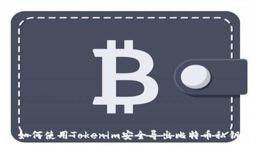 如何使用Tokenim安全导出比特币私钥