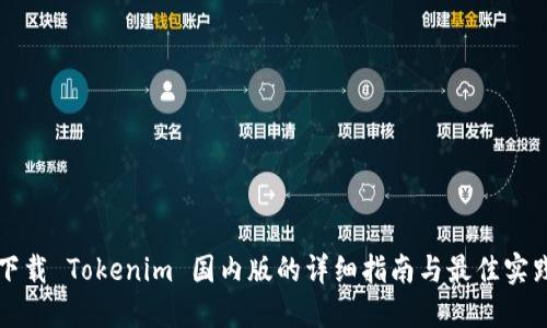 下载 Tokenim 国内版的详细指南与最佳实践