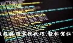 虚拟币波段操作实战技巧，轻松驾驭市场波动