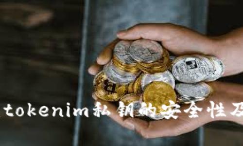深入解析：tokenim私钥的安全性及防护措施