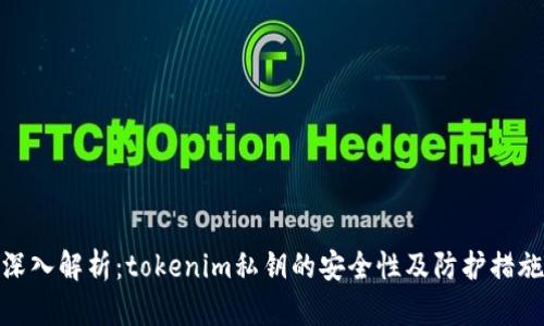 深入解析：tokenim私钥的安全性及防护措施