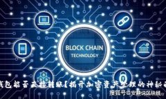冷钱包能否直接转账？揭