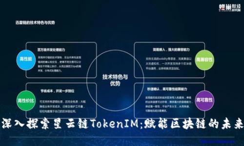 深入探索星云链TokenIM：赋能区块链的未来