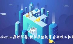 Tokenim原理详解：探秘区块