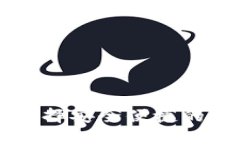 深入探讨如何选择安全便