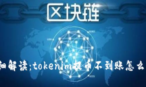 详细解读：tokenim提币不到账怎么办？