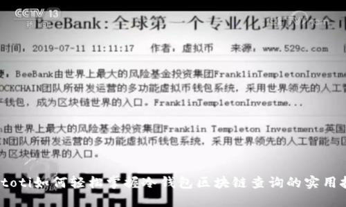 biatoti如何轻松掌握冷钱包区块链查询的实用技巧