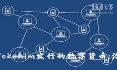 深入了解Tokenim发行的数字