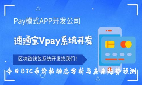 今日BTC币价格动态分析与未来趋势预测