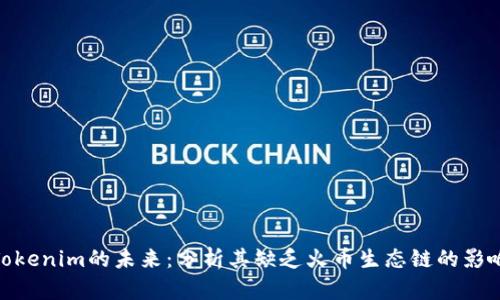 Tokenim的未来：分析其缺乏火币生态链的影响