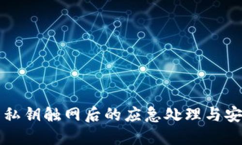 冷钱包私钥触网后的应急处理与安全指南