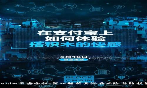 Tokenim不安全性：深入解析其潜在风险与防护策略