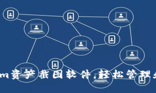 :  如何利用Tokenim资产截图软件，轻松管理和展示您的数字资产