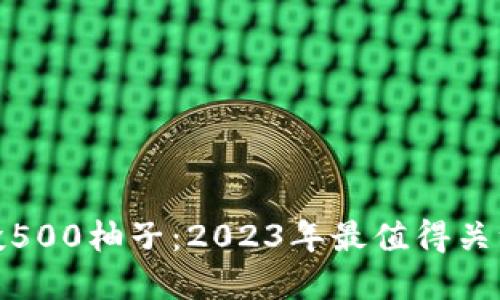 Tokenim空投500柚子：2023年最值得关注的加密项目
