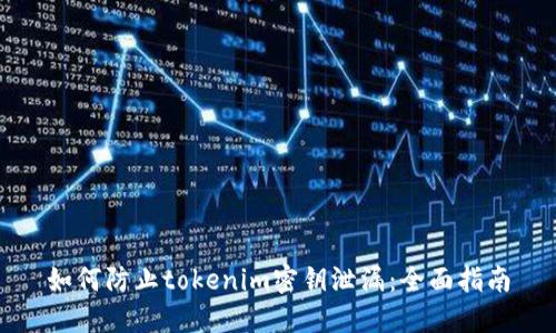 如何防止tokenim密钥泄漏：全面指南