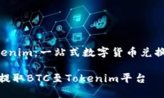 货币BTC提币tokenim：一站式
