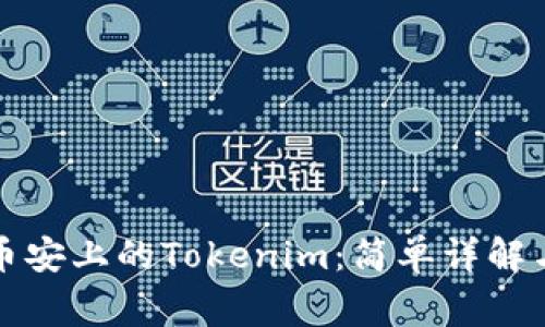 如何顺利提取币安上的Tokenim：简单详解与常见问题解析