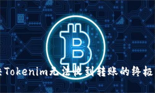 解决Tokenim无法收到转账的终极指南