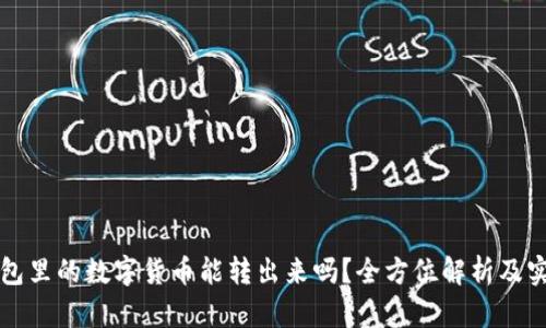 观察钱包里的数字货币能转出来吗？全方位解析及实用指南