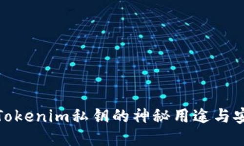 揭秘Tokenim私钥的神秘用途与安全性
