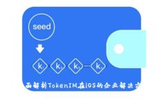 全面解析TokenIM在iOS的企业