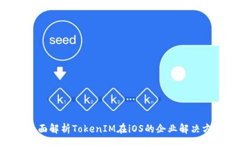 全面解析TokenIM在iOS的企业解决方案