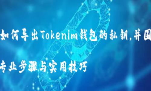 当然可以！下面我会为你详细介绍如何导出Tokenim钱包的私钥，并围绕这个主题构建一个丰富的内容。

如何安全导出Tokenim钱包私钥：专业步骤与实用技巧