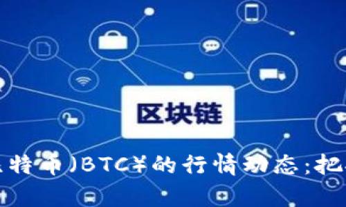 深入分析比特币（BTC）的行情动态：把握投资机遇