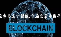 币圈大平台是一种涉及加