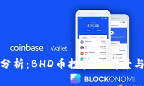 深入分析：BHD币投资的前景与风险