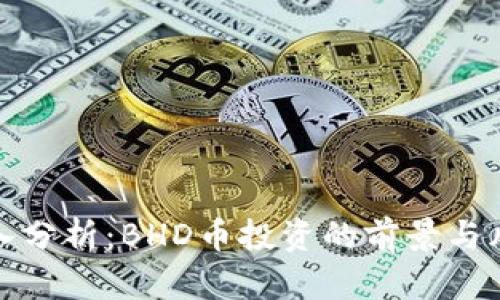 深入分析：BHD币投资的前景与风险