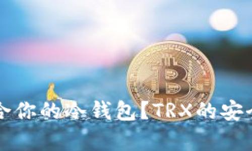 如何选择适合你的冷钱包？TRX的安全与价格解析