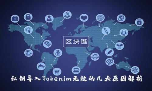 私钥导入Tokenim无效的几大原因解析
