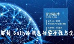 全方位解析：Bally冷钱包的