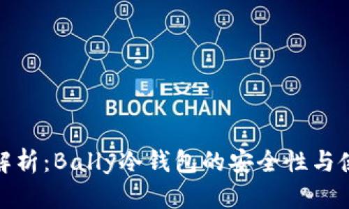 全方位解析：Bally冷钱包的安全性与使用体验