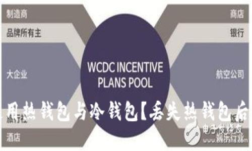 如何安全使用热钱包与冷钱包？丢失热钱包后的应对策略