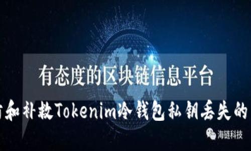 如何预防和补救Tokenim冷钱包私钥丢失的严重问题