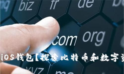 为什么选择Bitpie iOS钱包？探索比特币和数字资产的安全管理利器