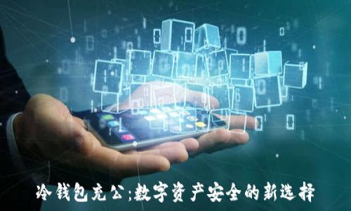 冷钱包充公:数字资产安全的新选择
