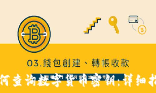 如何查询数字货币密钥:详细指南