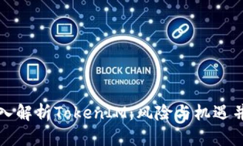 深入解析TokenIM:风险与机遇并存