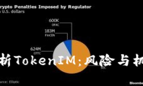 深入解析TokenIM:风险与机遇并存