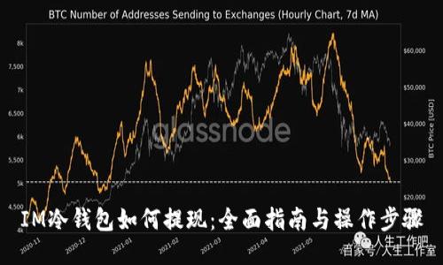 IM冷钱包如何提现:全面指南与操作步骤