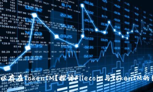 FIL是否可以存在TokenIM?探讨Filecoin与TokenIM的结合可能性